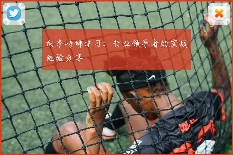 向李峙锦学习：行业领导者的实战经验分享