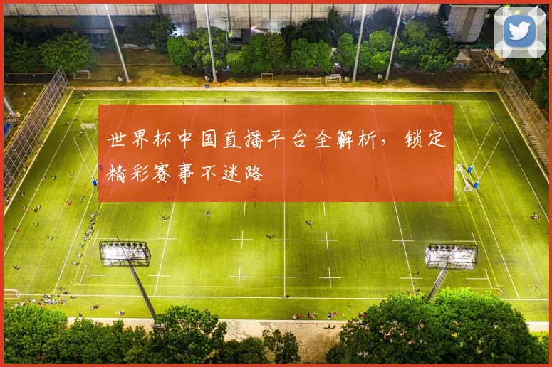 世界杯中国直播平台全解析，锁定精彩赛事不迷路