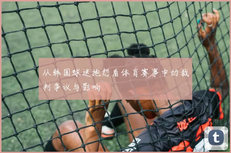 从韩国球迷抱怨看体育赛事中的裁判争议与影响