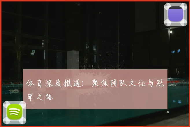 体育深度报道：聚焦团队文化与冠军之路
