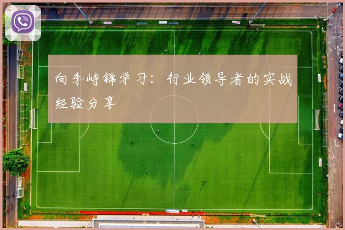 向李峙锦学习：行业领导者的实战经验分享