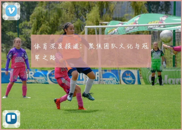 体育深度报道：聚焦团队文化与冠军之路
